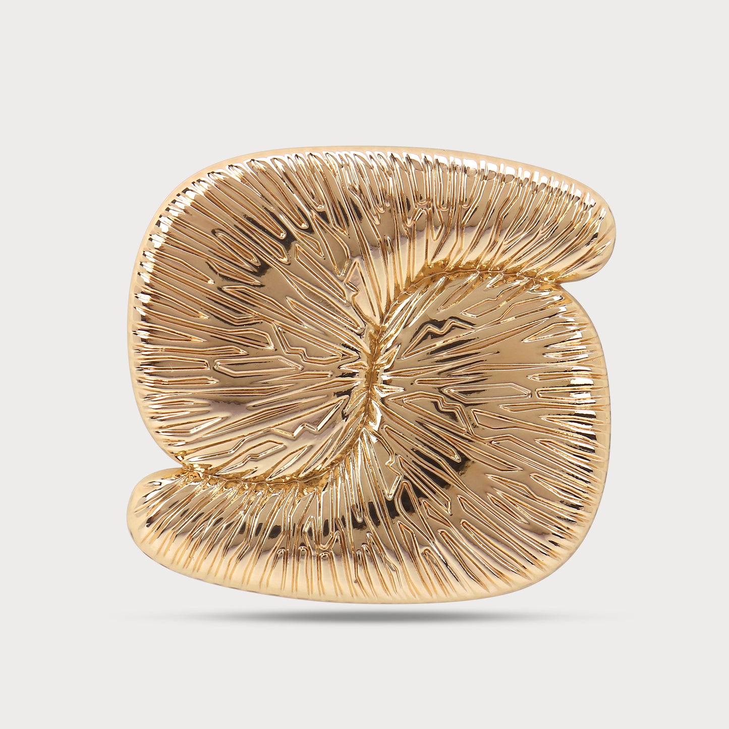 Golden Finish Buckle for Luxe Garments