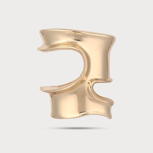 Exclusive Metal Golden Buckle
