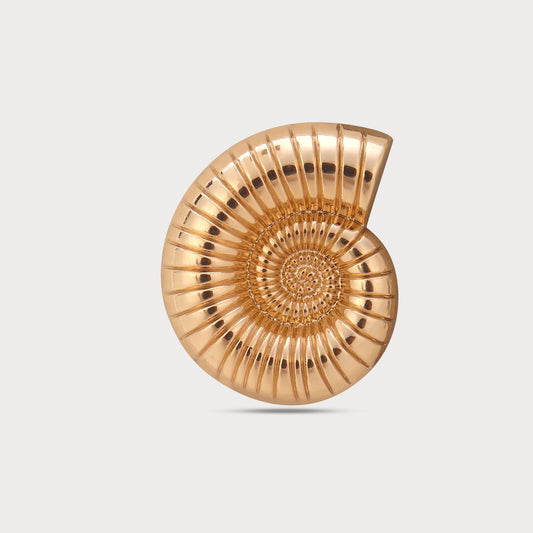 High Fashion Golden Buttons Couture Style