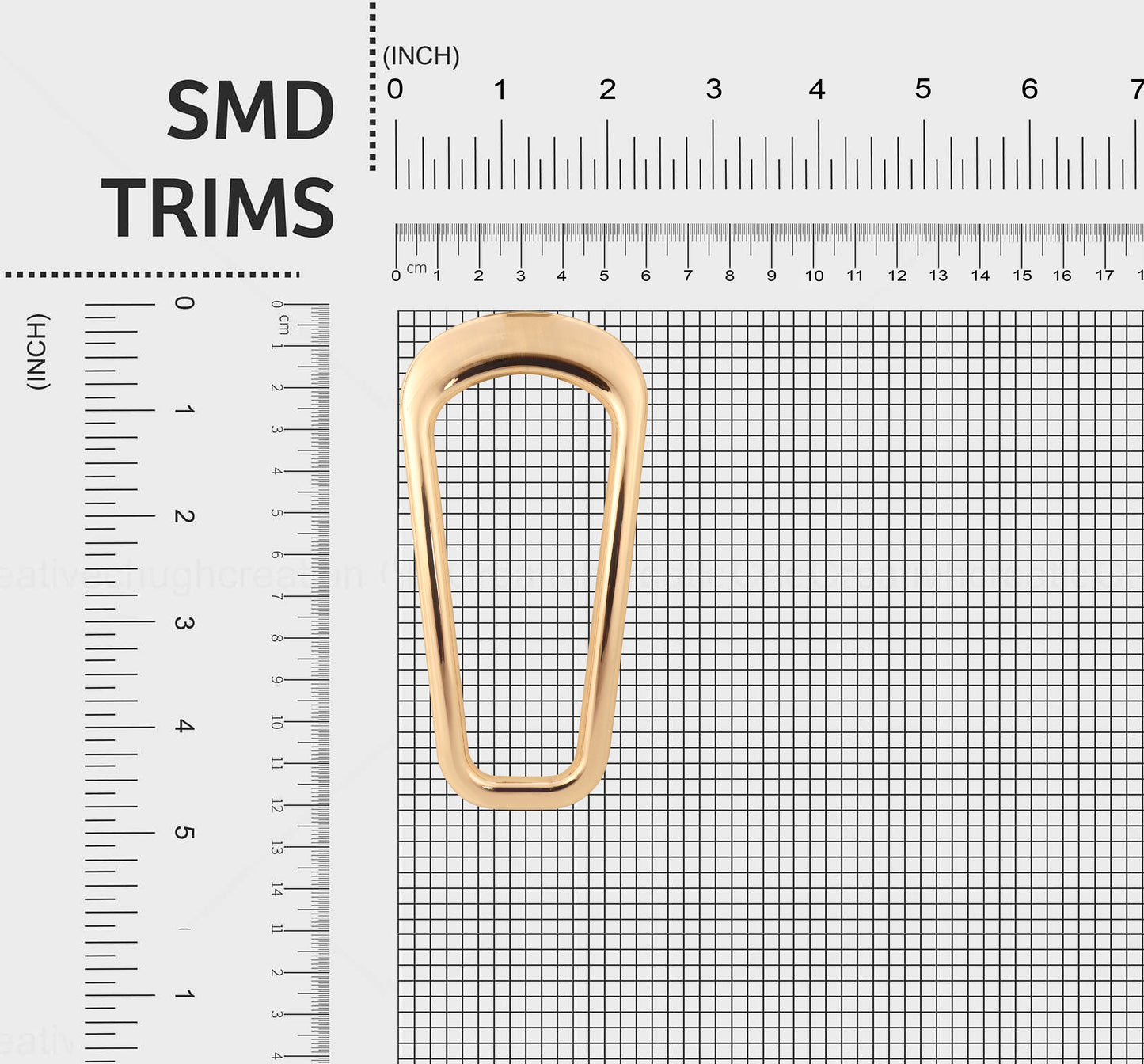 Premium Couture Bold Detail Buckles