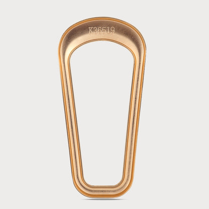 Premium Couture Bold Detail Buckles