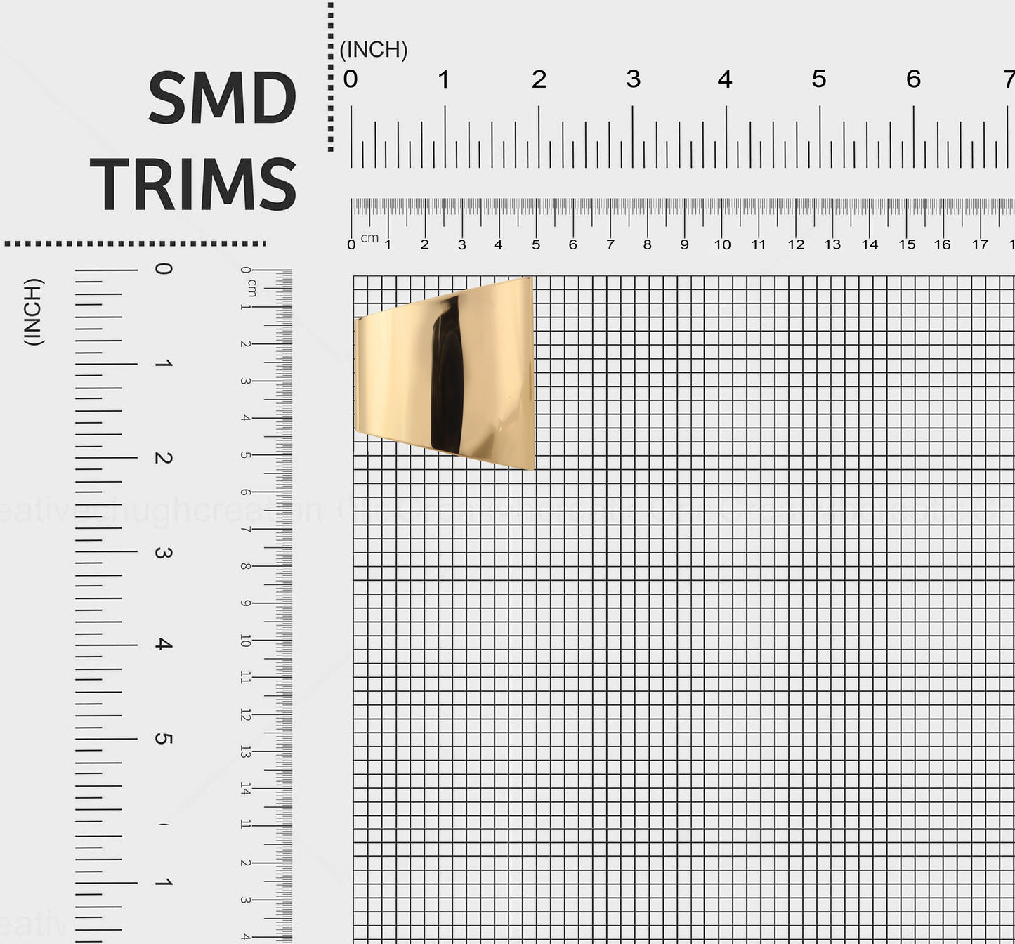 Chic Accent Luxe Smooth Gold Buckles