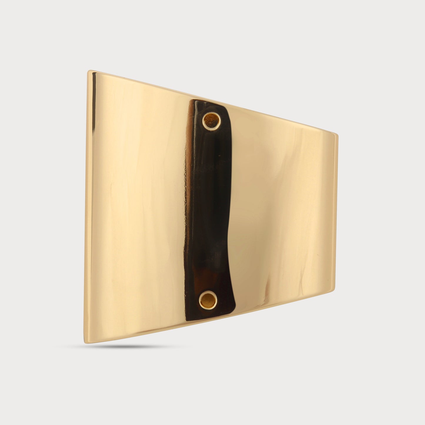 Chic Accent Luxe Smooth Gold Buckles